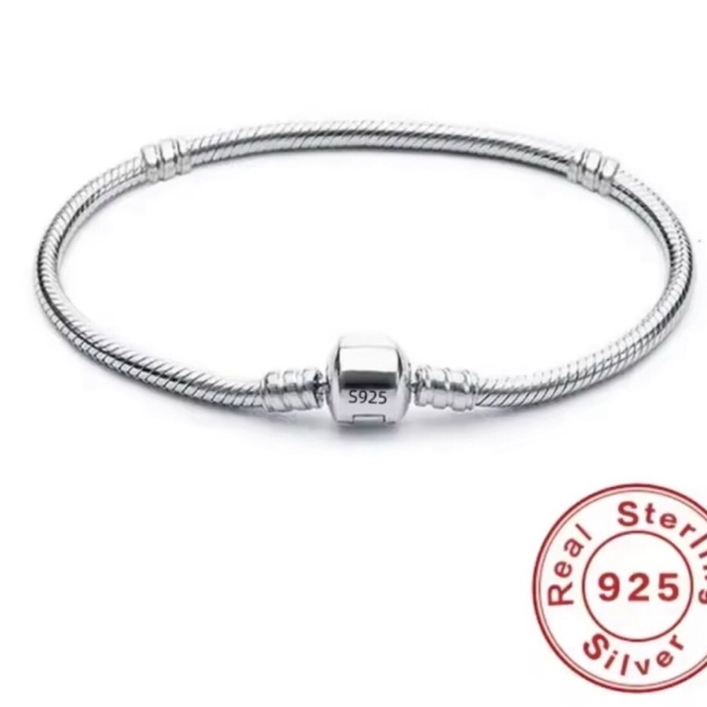 Sterling Silver Snake Chain Bracelet